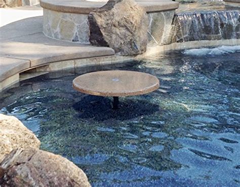 Removable Swimming Pool Table
